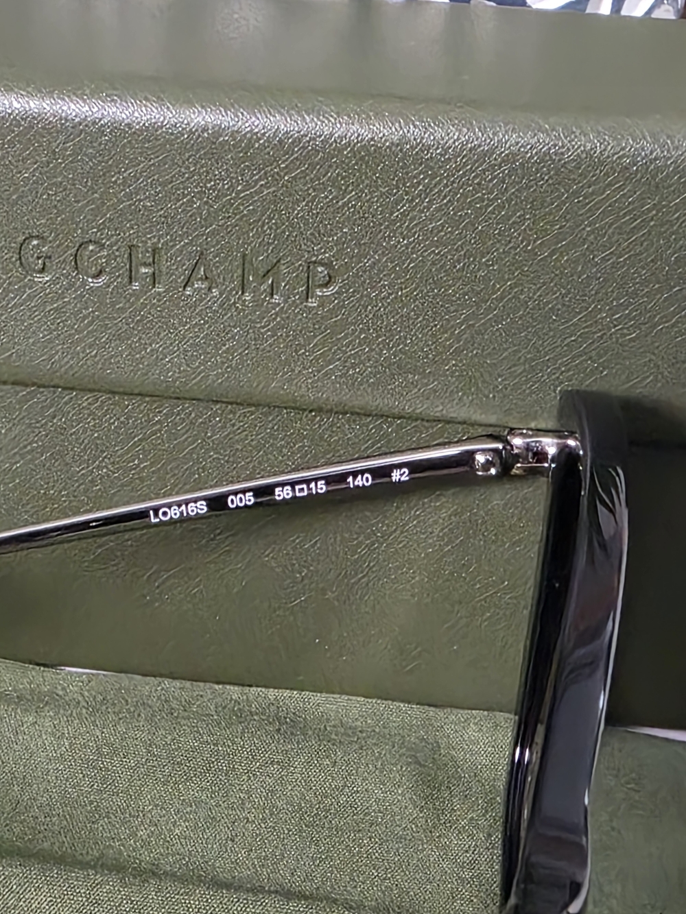 Longchamp Women's Black Oversized Sunglasses All Inclusive - Picture 3 of 8